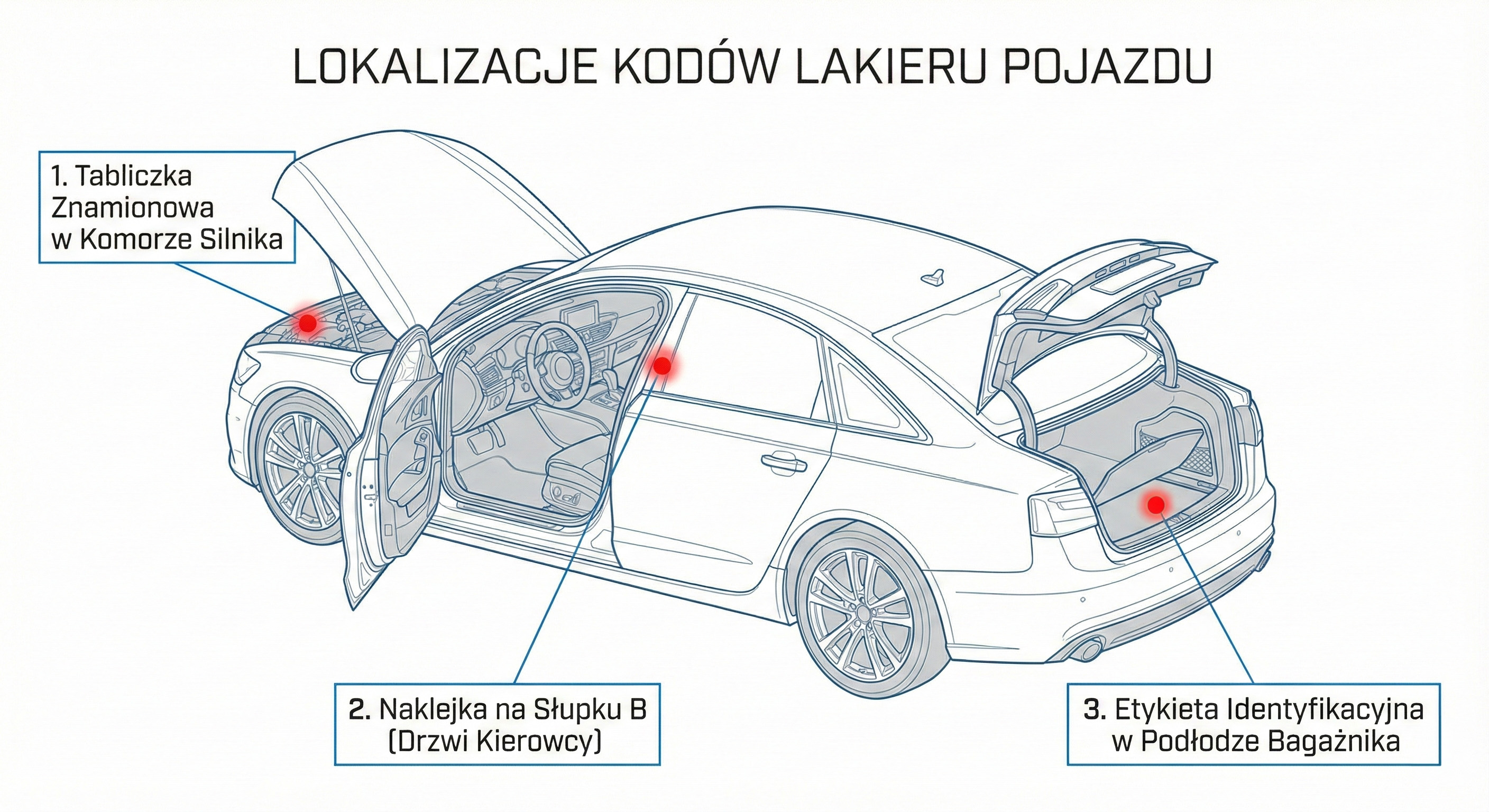 lokalizacja kodow.jpg